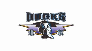 333体育|电竞-官方网站-关键时刻发力！末节北京28-16净胜山西12分